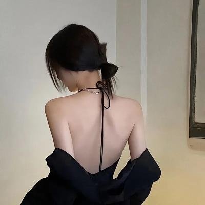 极地熊踪